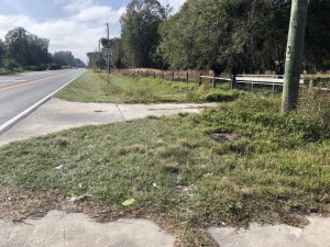 Facing south on the south side of Waring Road