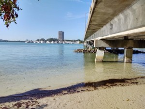 View from the south side of the bridge facing St. Armands Circle