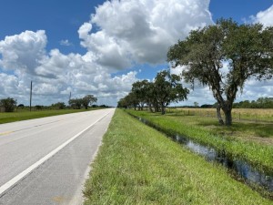 SR 29 roadside