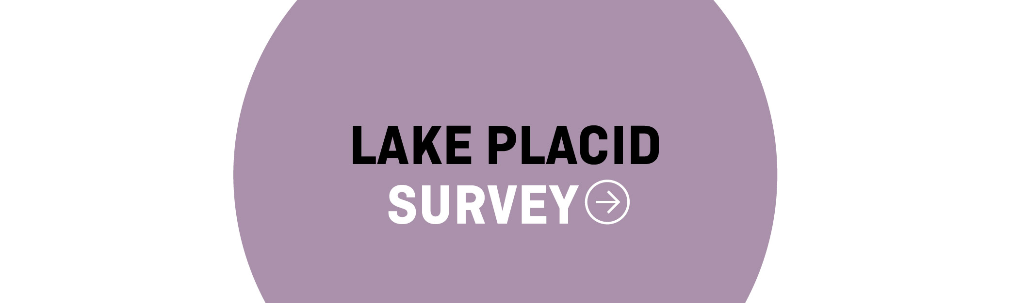 Lake Placid Survey
